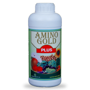 AMINOGOLD PLUS