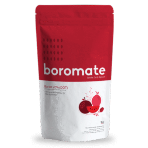 BOROMATE