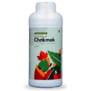 CHAKMAK