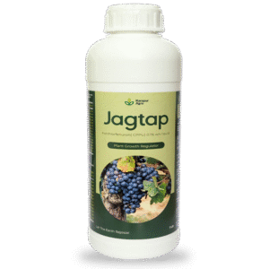 JAGTAP 