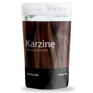 KARZINE