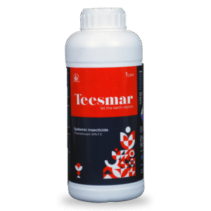 TEESMAR