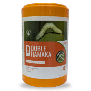 DOUBLE DHAMAKA