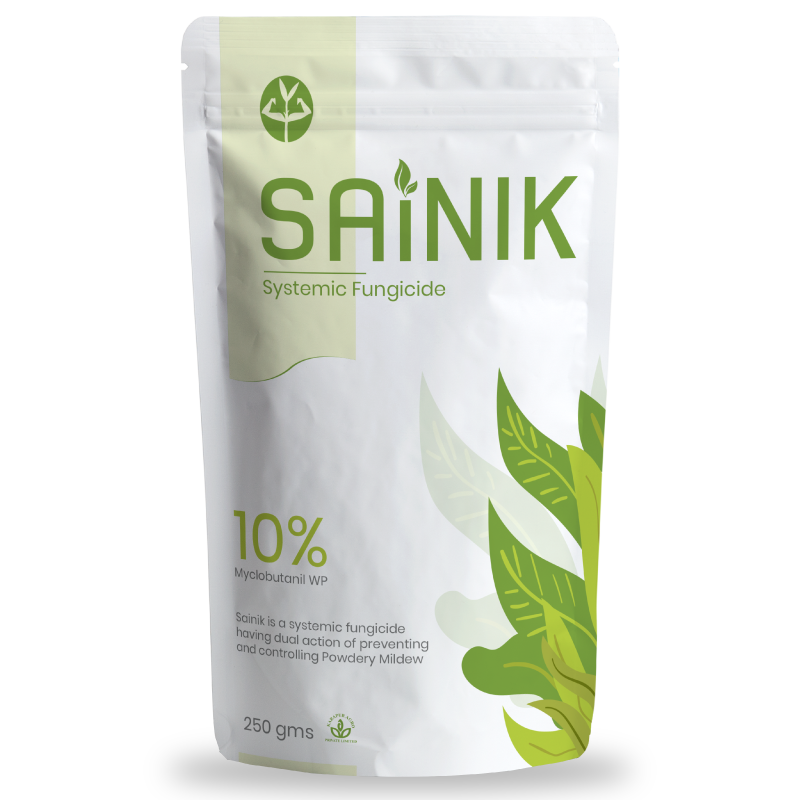 SAINIK