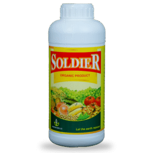 SOLDIER