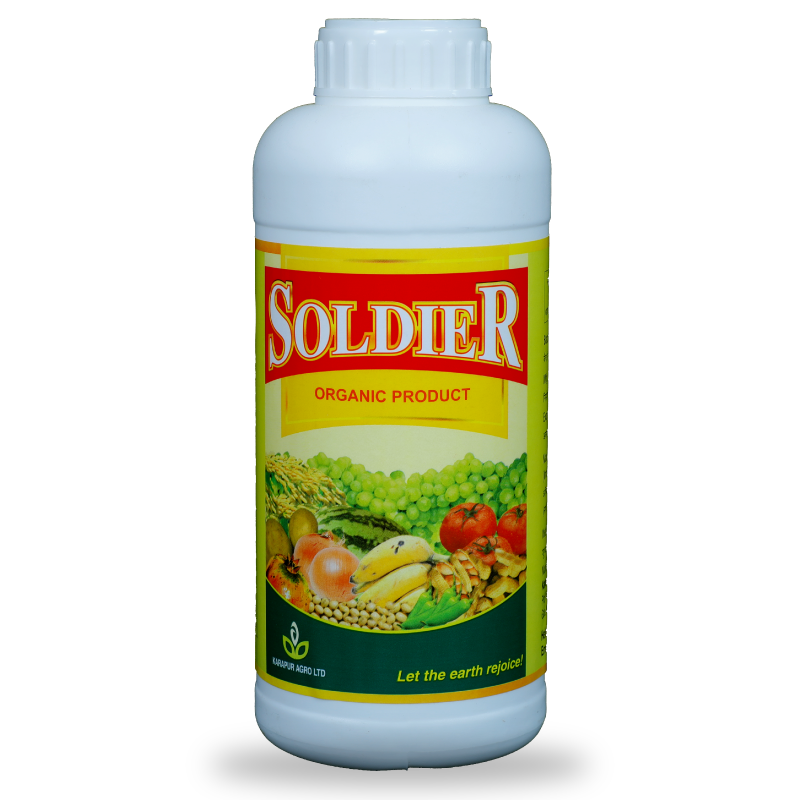 SOLDIER