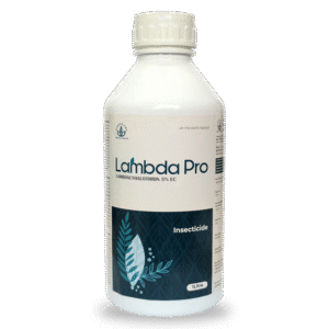 LAMBDA PRO