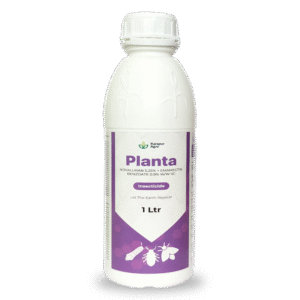 PLANTA