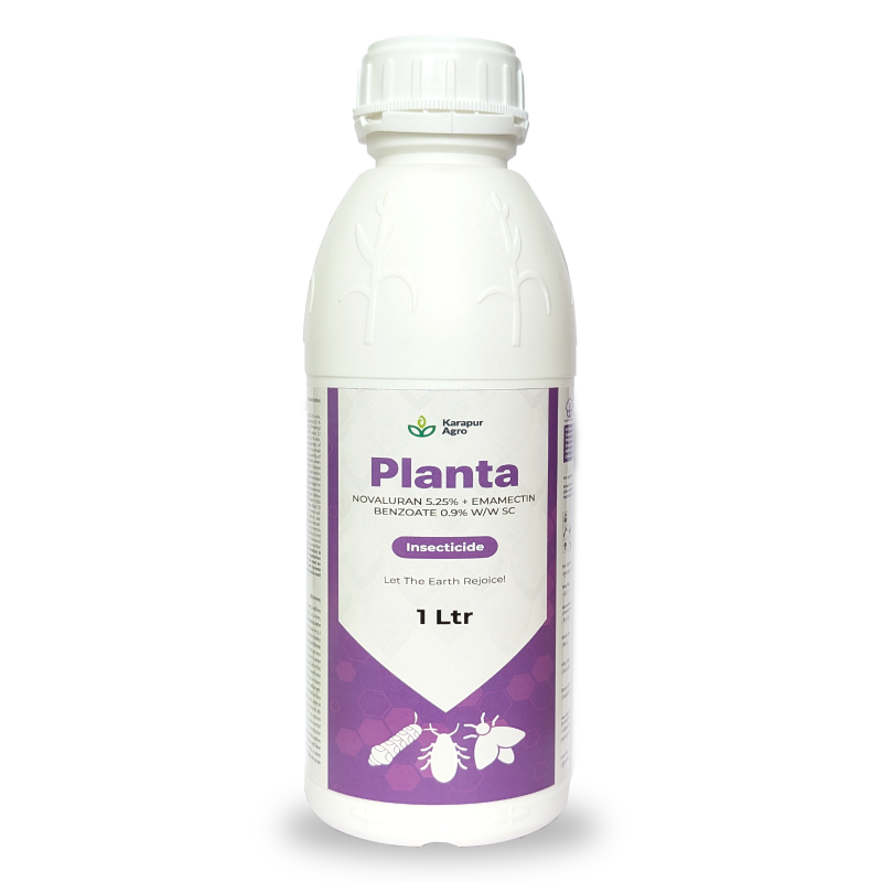 PLANTA