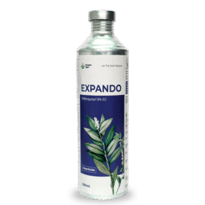EXPANDO